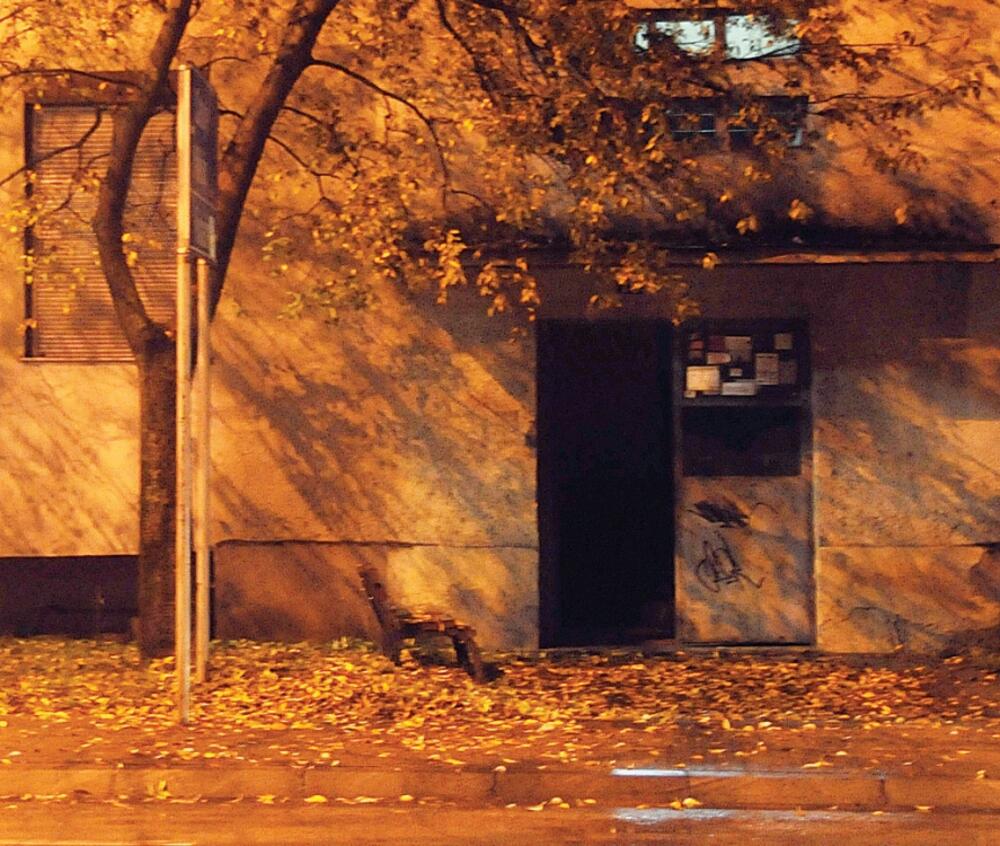 Radoje Vukavinović, ulaz