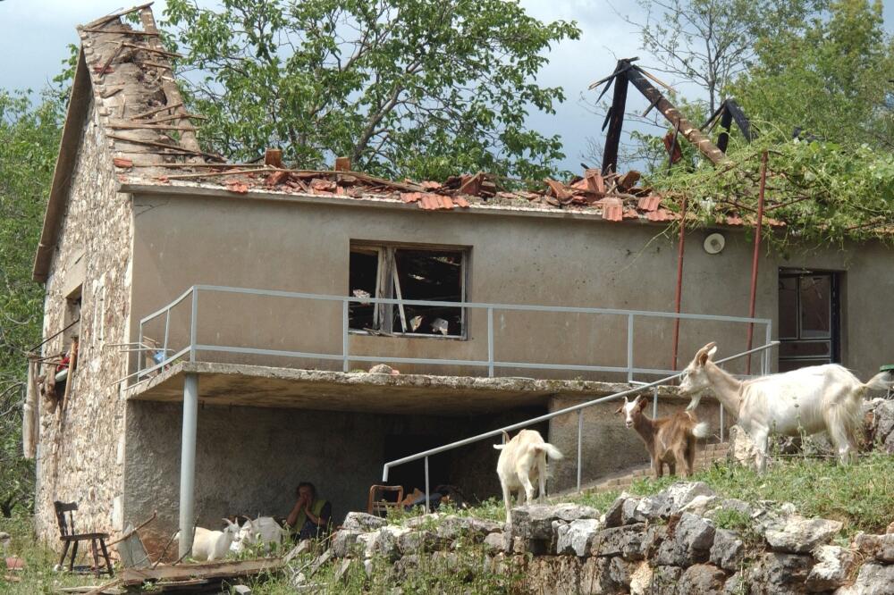 Vir, Foto: Savo Prelević