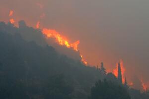 Vatra zahvatila više hektara šume na Planinici