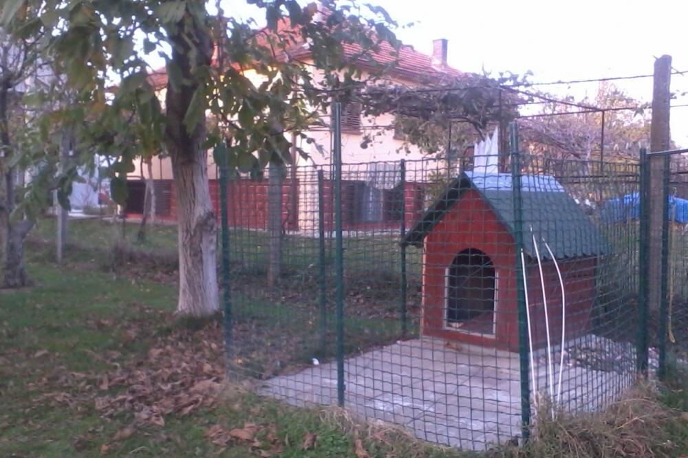 kućica za pse, Foto: Jovan Stanišić