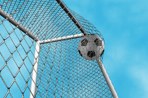 Pljevlja: Lopovi odnijeli golove teške 300 kila