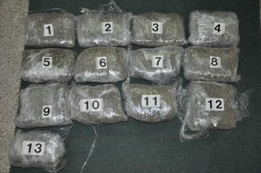 Skank, Foto: Uprava policije