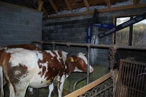 Pokrenuta društvena mreža koja povezuje farmere