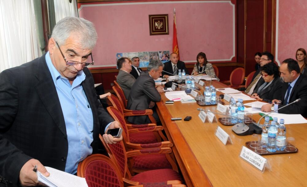 Odbor za ljudska i manjinska prava