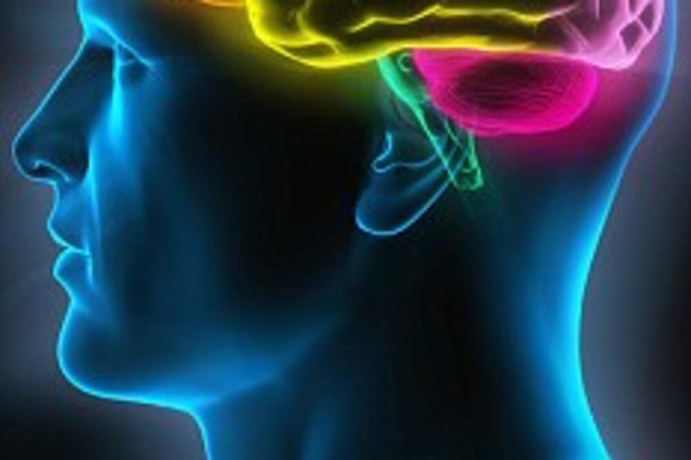 mozak, Foto: Dailymail.co.uk