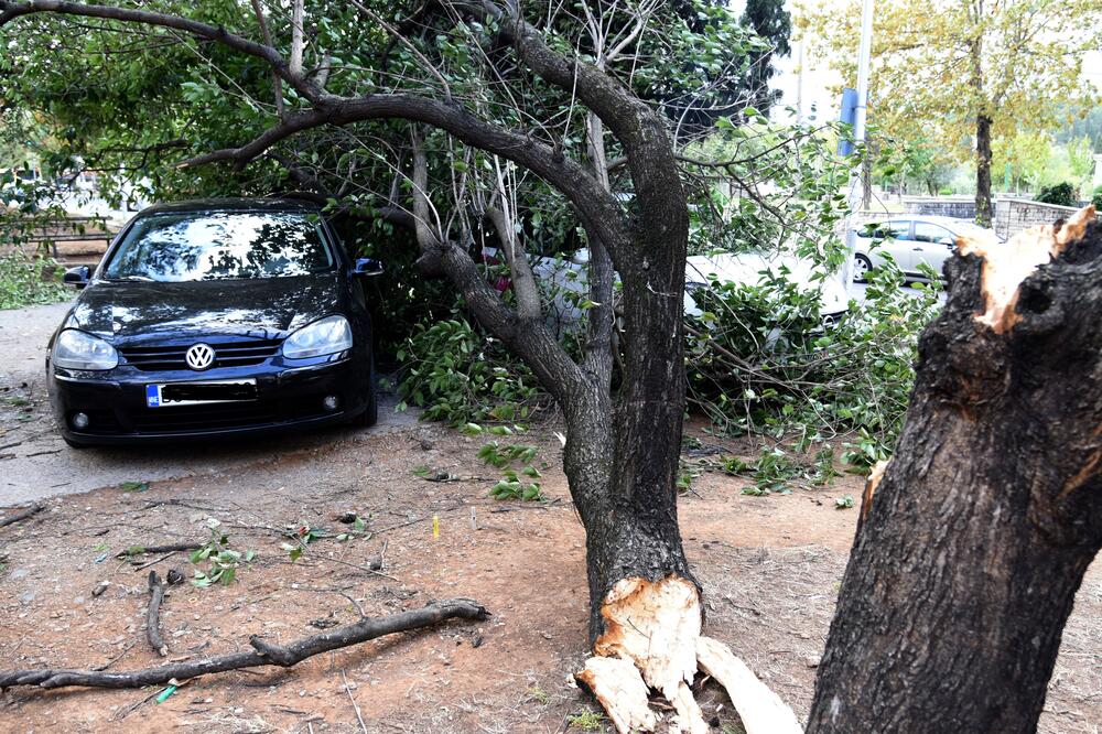 Ilustracija, Foto: Boris Pejović