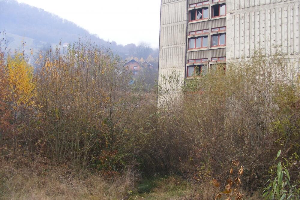 beba, cedomorstvo, ubistvo bebe, Foto: Beća Čoković