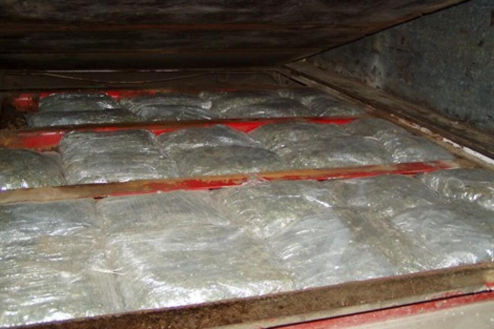 skank, Foto: Uprava carina