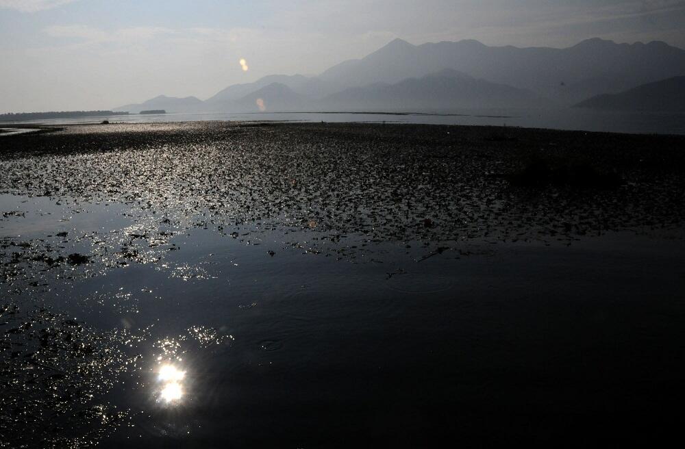 skadarsko jezero