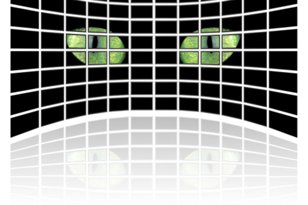 velik brat, Foto: Shutterstock.com