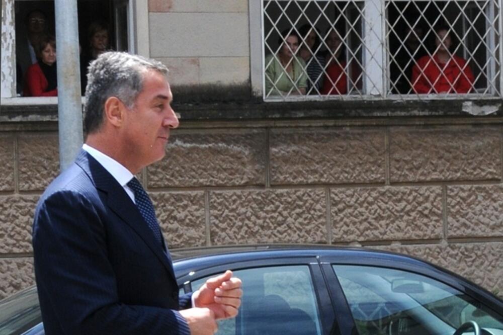 milo, Foto: Boris Pejović