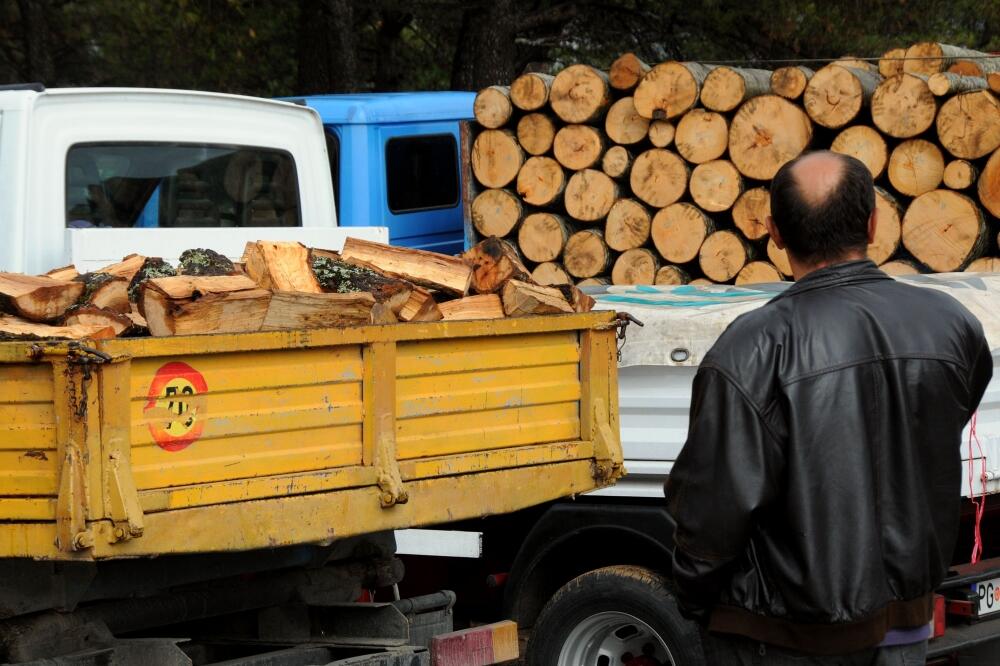 DRVA, Foto: Vesko Belojević