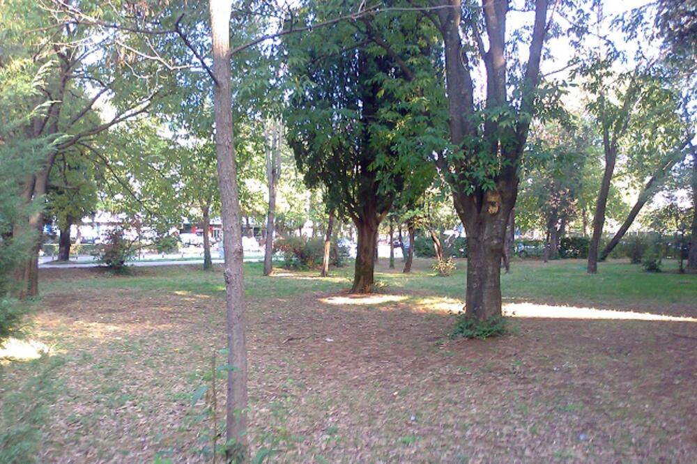 jesen, Foto: Vijesti online