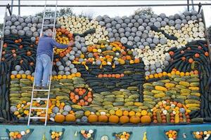 Šta uraditi sa 600 bundeva i tikvica?