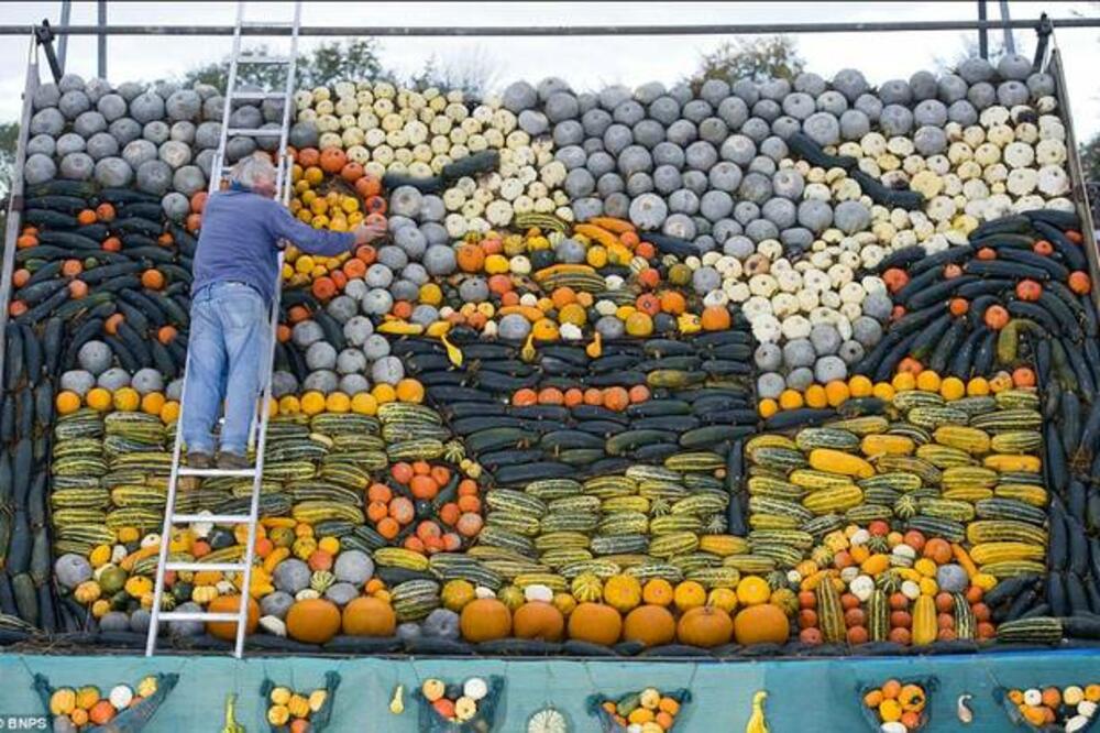 bundeve i tikvice, Foto: Dailymail.co.uk