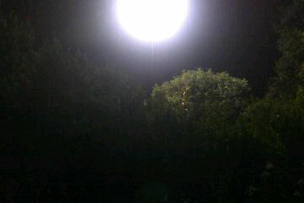 leteći tanjir, Viktorija, Foto: Tviter