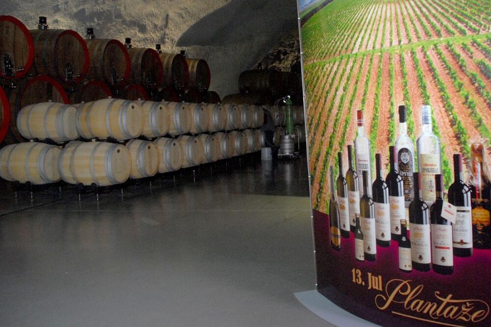 PLANTAZE, Foto: Zoran Đurić