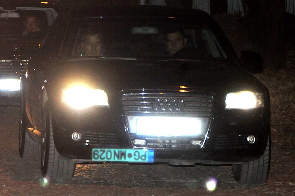 milo, Foto: Boris Pejović