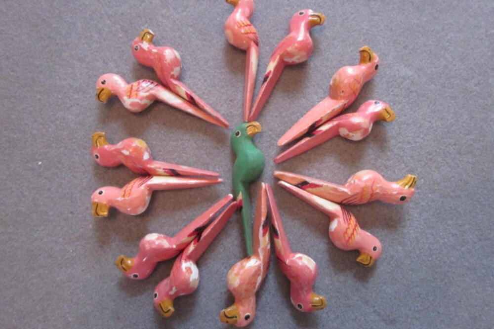 papagaj, Foto: Freakcycle.wordpress.com