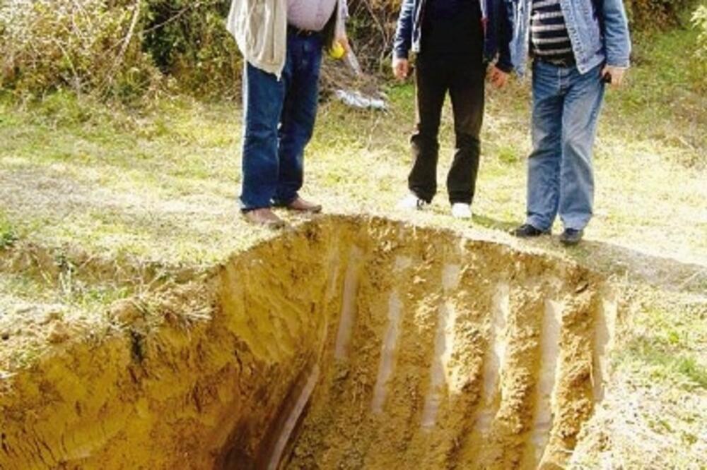 frutak_1, Foto: J. JOVANOVIĆ