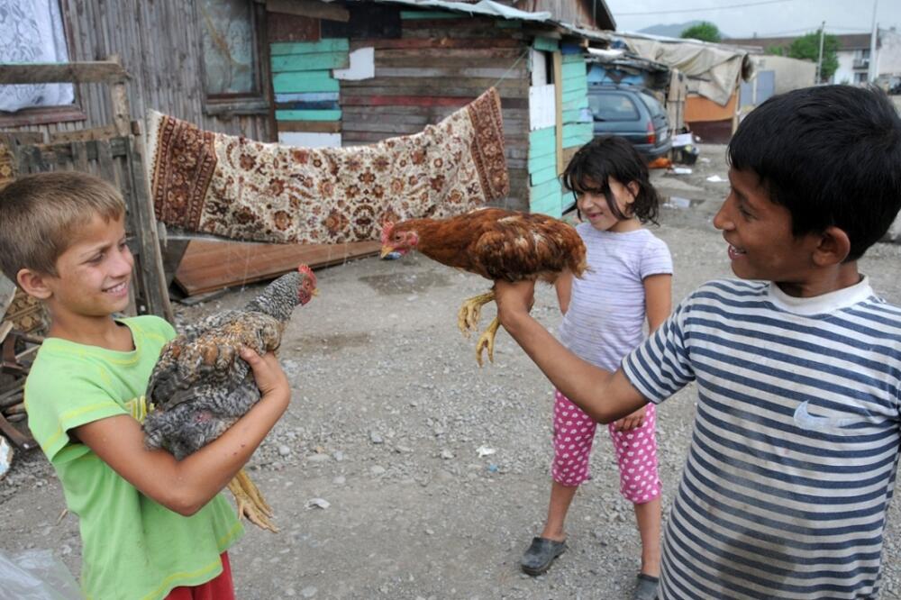 vrela ribnicka, romi. djeca, Foto: Boris Pejović