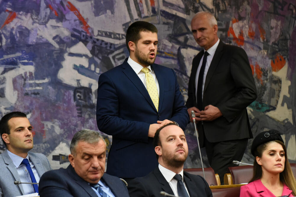 Nikolić u Skupoštini Crne Gore, Foto: Boris Pejović