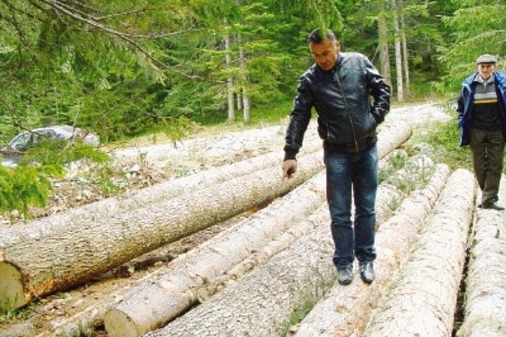 plunci, Foto: Aida Sadiković