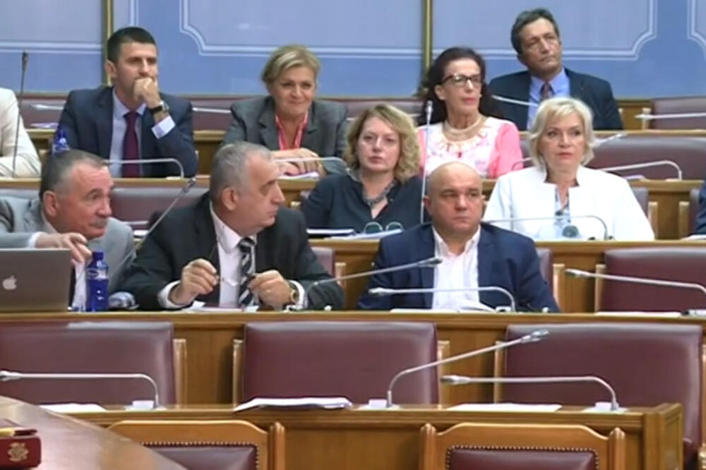 Opozicija u parlamentu, Foto: TV Vijesti