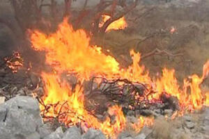Gori selo Svetozara Marovića