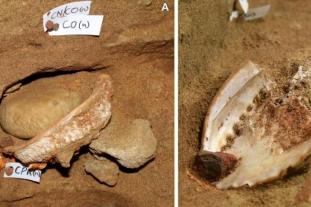 Školjke, Studio, Arheologija, Atelje, Foto: AFP