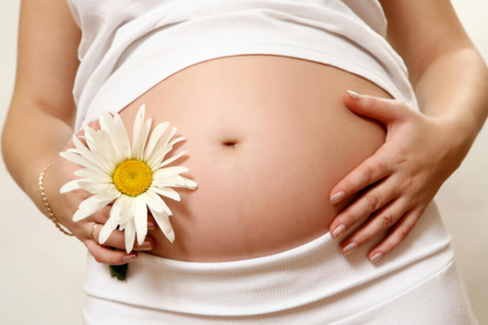 trudnica, Foto: Shutterstock.com