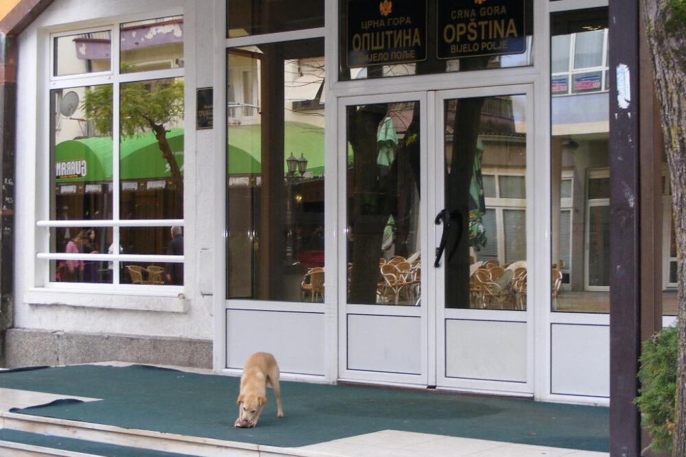 Opština Bijelo Polje, Foto: Arhiva Vijesti