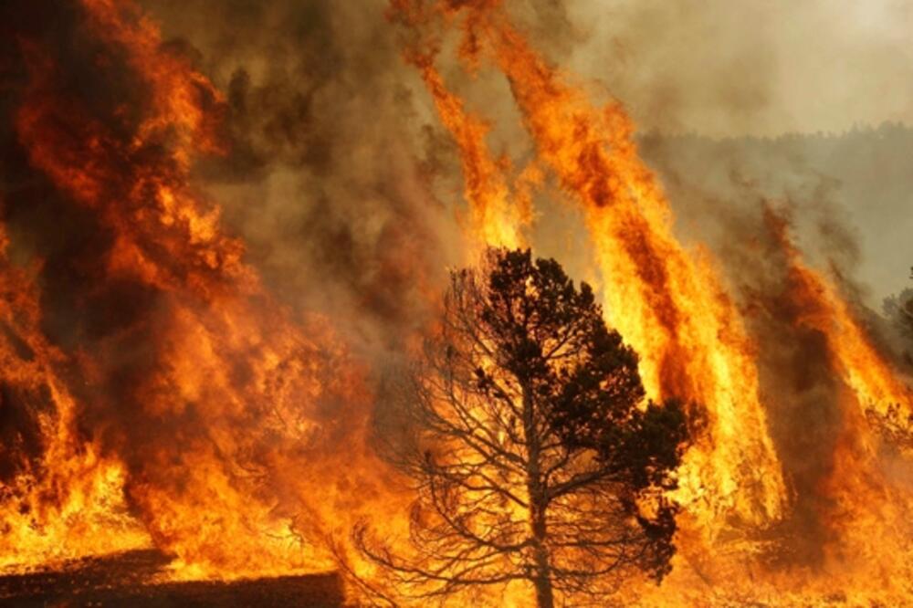 požar u Grčkoj, Foto: Worldbulletin.net