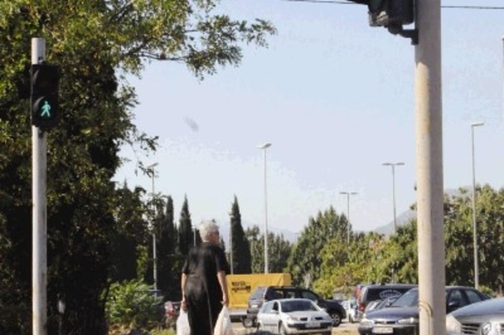 zelenko_1, Foto: Vesko Belojević