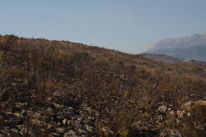 Ugašen požar u Kotoru