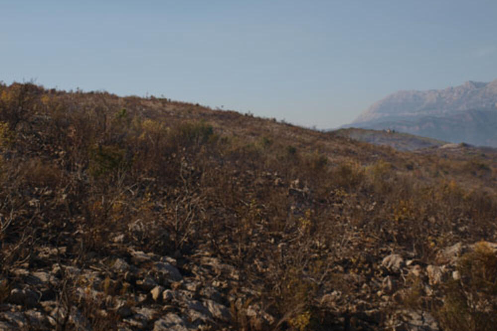 Vatrogasci, požar Lješevići, Foto: Skalaradio.com