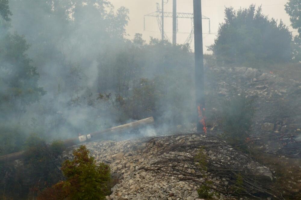 požari, Cetinje, Foto: Danijela Lasica