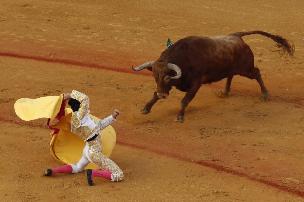 korida, španija, Foto: Rojters