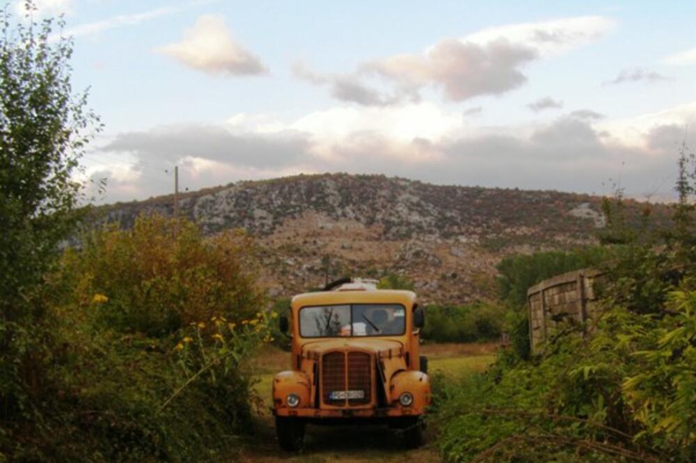 Fekalije, Foto: Jelena Jovanović