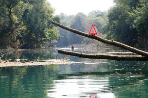 Zbogom ostaj, ti prašnjava cesto