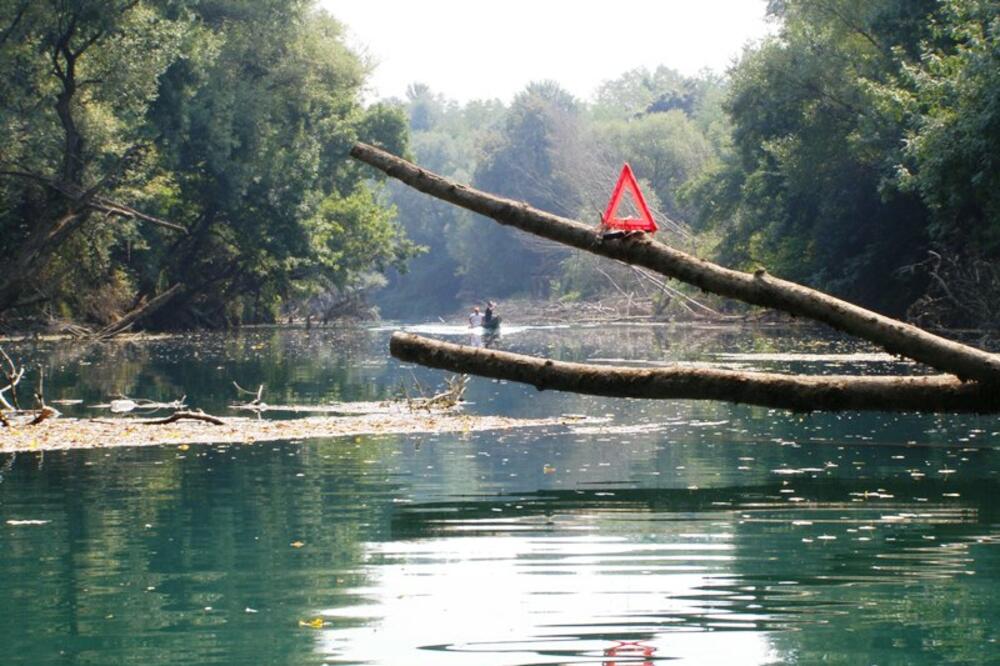 smeće, zeta, Foto: Jelena Jovanović