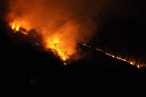Od požara u Podgorici nema opasnosti po ljude i objekte