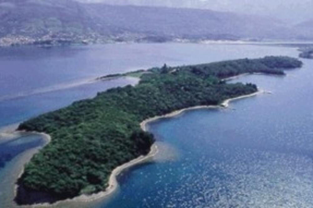 maslina_1, Foto: Montenegro.travel