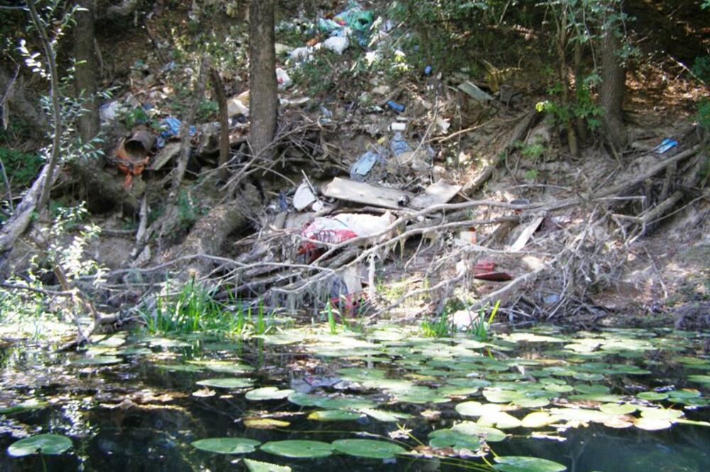 smece, Foto: Jelena Jovanović