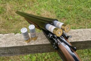 Podgoričanin "sačmaricom" ranio dvojicu komšija