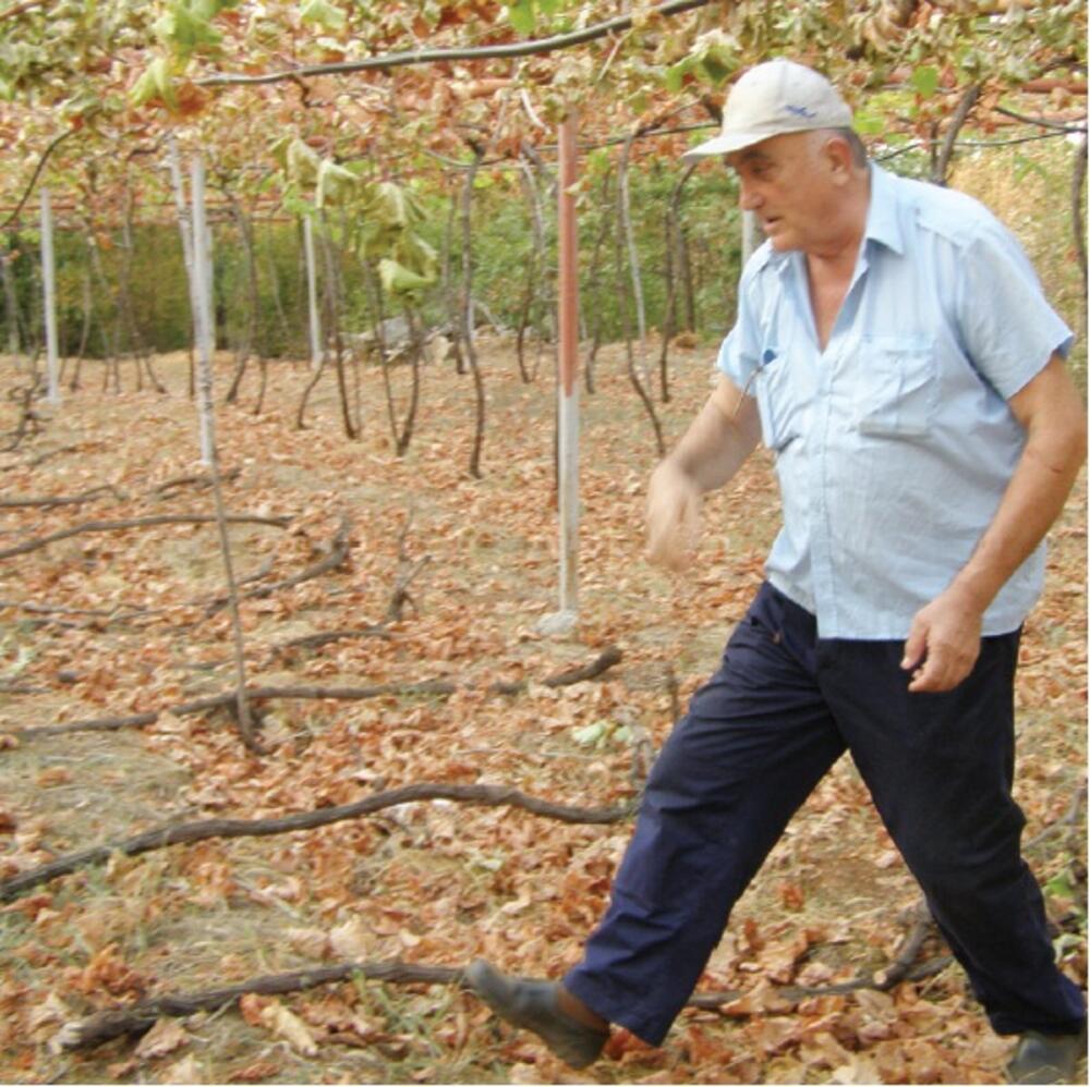 Sekulić Danilovgrad