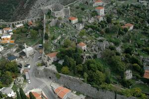 Maržena Peričić izlaže skulpture u maslinovom drvetu