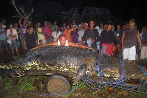 Džinovski krokodil koji je uhvaćen na Filipinima danima odbija...