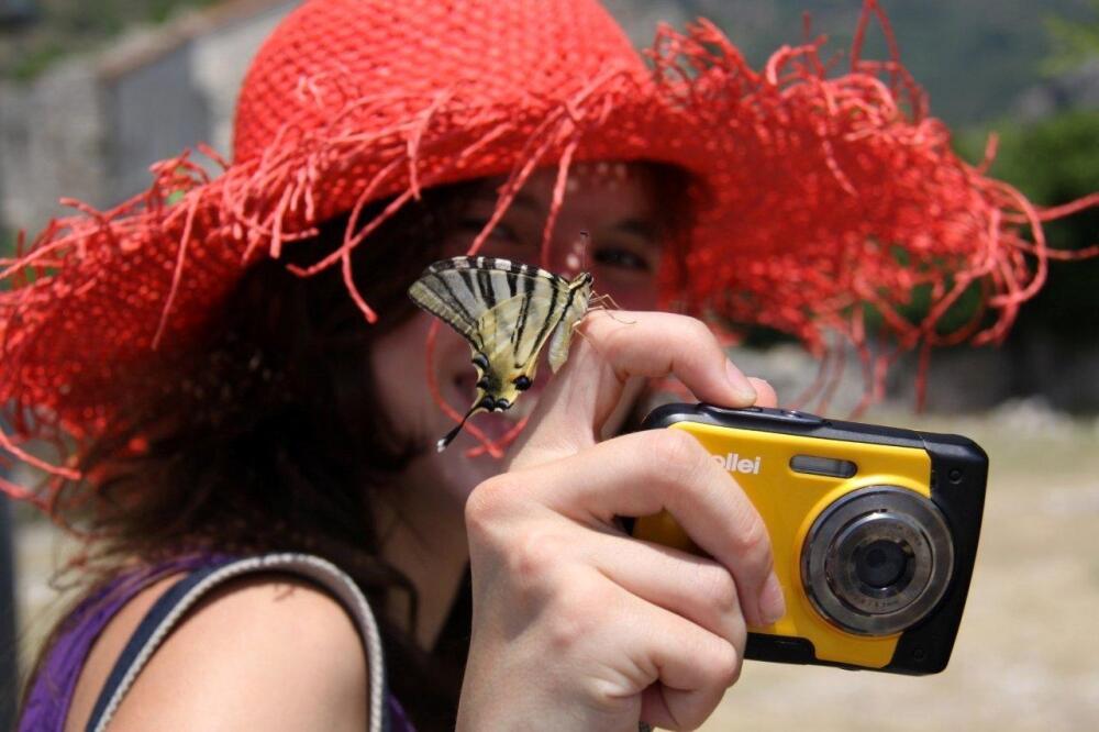 nagrada, stari bar, Foto: Mihael Bader