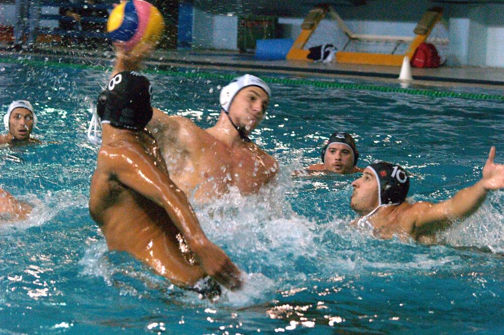 Primorac, Foto: Radoje Milić